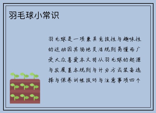 羽毛球小常识